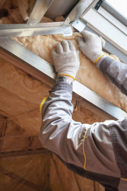 Best DIY Insulation Kits and Guidance in Jacksonville, AR