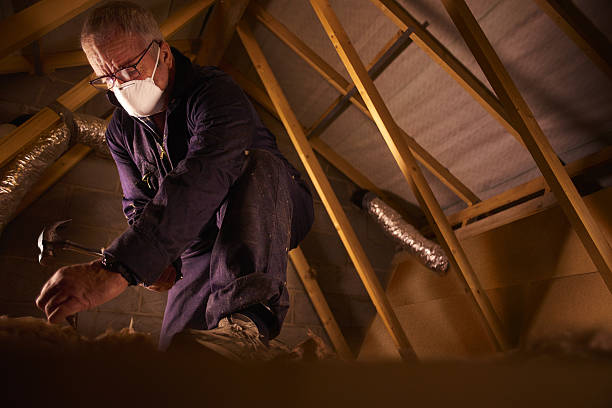 Best Geographic-Specific Insulation Services in Jacksonville, AR