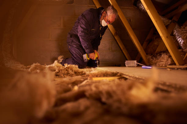 Best Eco-Friendly Insulation in Jacksonville, AR